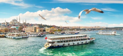 Bosphorus Cruise Experience in Istanbul